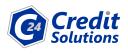 C24 Credit Solutions logo